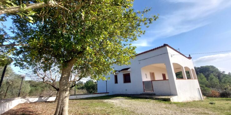 VENDUTO Rif.116 Villa indipendente con esteso terreno agricolo – Via Monti del Duca, Martina Franca (TA)